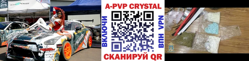 Альфа ПВП СК КРИС Курчалой