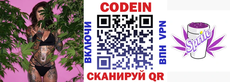 mega   Курчалой  Codein Purple Drank  где купить наркоту 