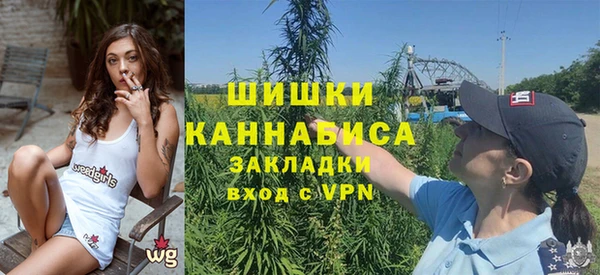 прущие грибы Остров