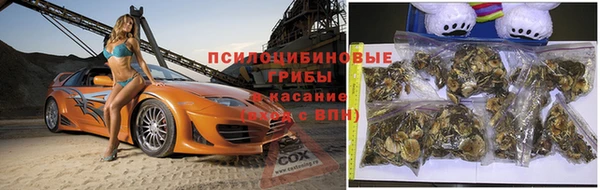 твердый Алзамай