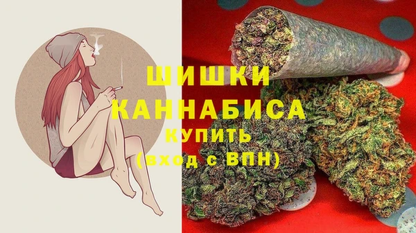 твердый Алзамай