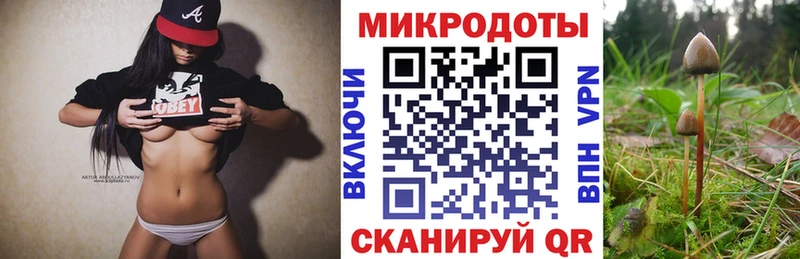 Галлюциногенные грибы Psilocybe  Курчалой 